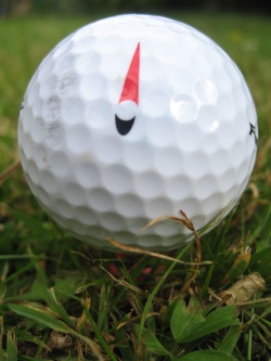 Golf Ball Injuries: A Fair Way To Treat Golf Clubs? - morayclaims.co.uk