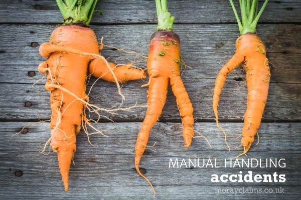 Ugly Carrots on Wooden Background