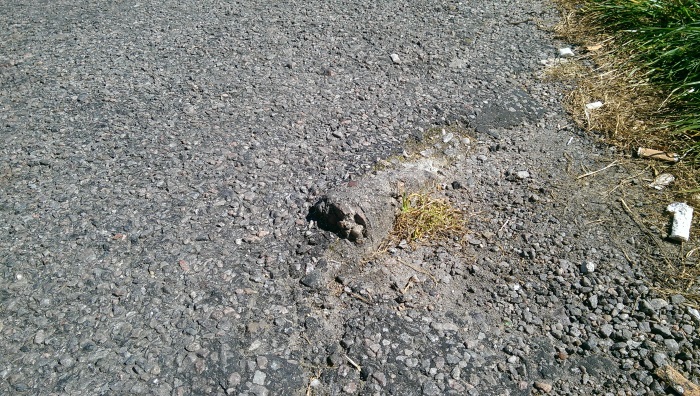 Defect in the footpath beside Alexandra Road (A96), Elgin